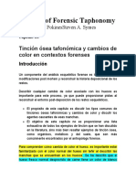 Tinción Ósea Tafonómica y Cambios de Color en Contextos Forenses