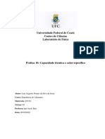 Rélatorio Pratica 10 - Capacidade Térmica e Calor Especifico