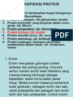 Klasifikasi Protein