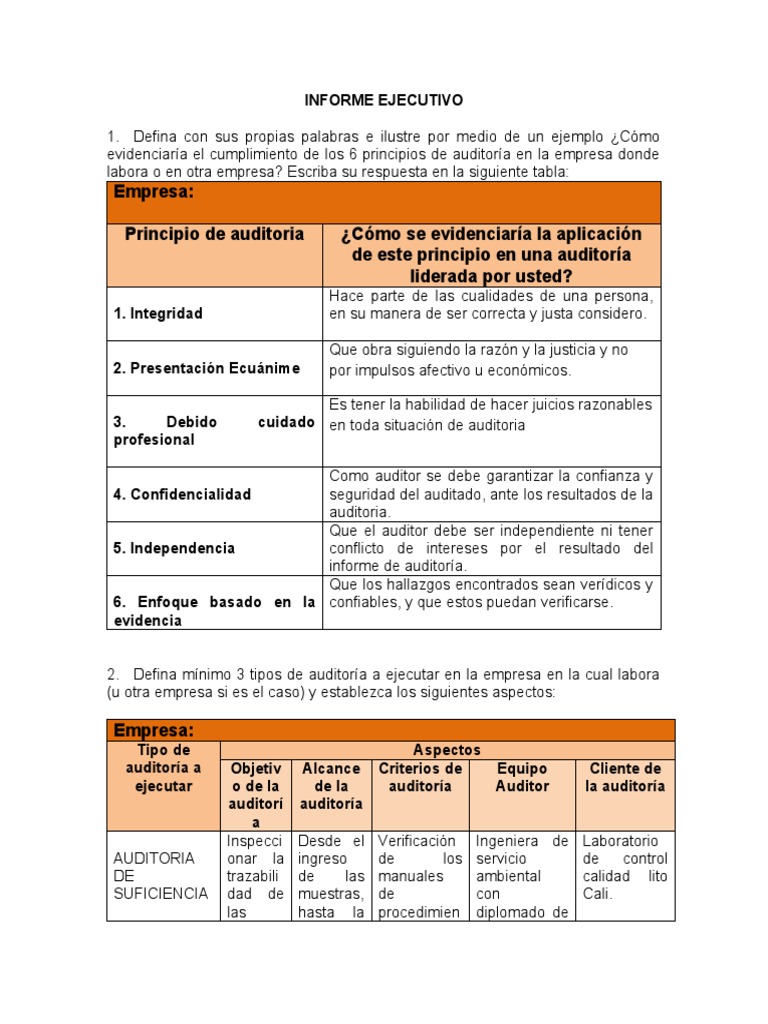 Informe Ejecutivo | PDF | Auditoría | Contabilidad y Auditoria