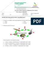 IPA (PH 2 Tema 6 Subtema 2)