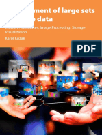 Management of Large Sets of Image Data (001 065) .En - Id
