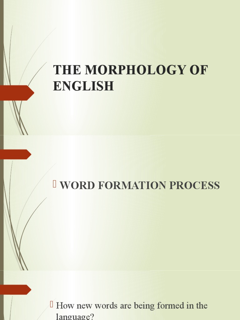 The Morphology of English | PDF | Acronym | Word