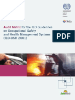 Guide From ILO for Safety Audit