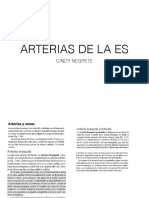 Arterias Es