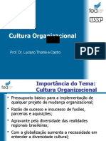 Cultura Organizacional