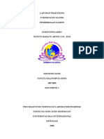 Laporan Praktikum Chounesterase