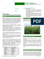 Agricultural Commodity Technical Cards From BNDA_Mais_0