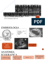 Ecografia Cordon Umbilical Tema #20 Semana 11