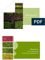 Microgreens: Target Audience: Parents, Children, Chefs, Everyone