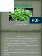 microgreensppt-171116124553