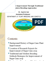 Sugarcane Plant Improvement Through Traditional and Modern Breeding Approaches