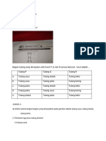 Febinia Cahaya Maria (XI MIPA 1) BIOLOGI PH BAB IV