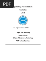 Programming Fundamentals Lab 10 (File Handling) New Batch