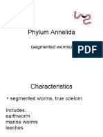 Phylum Annelida: (Segmented Worms)
