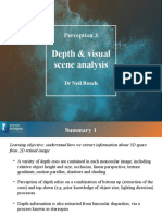 Depth & Visual Scene Analysis: Perception 3