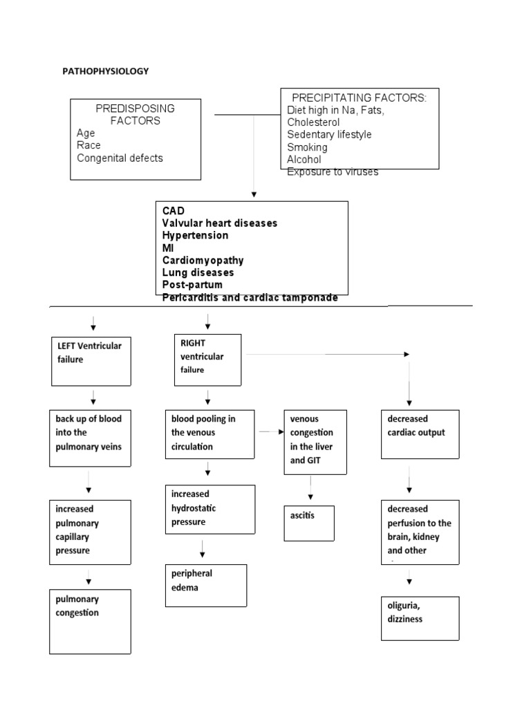 Heart Failure Pathophysiology Factors | PDF