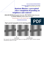 The Visual Phantom Illusion: A Perceptual Product of Surface Completion Depending On Brightness and Contrast