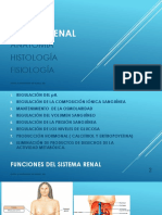 Sistema Renal