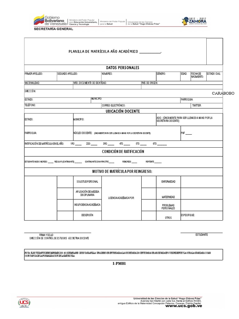 Modelos Matricula - I-Pm01 Matricula | PDF