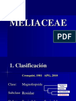 Meliaceae 2012-Ii