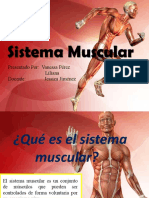 Sistema Muscular Vanessa y Liliana