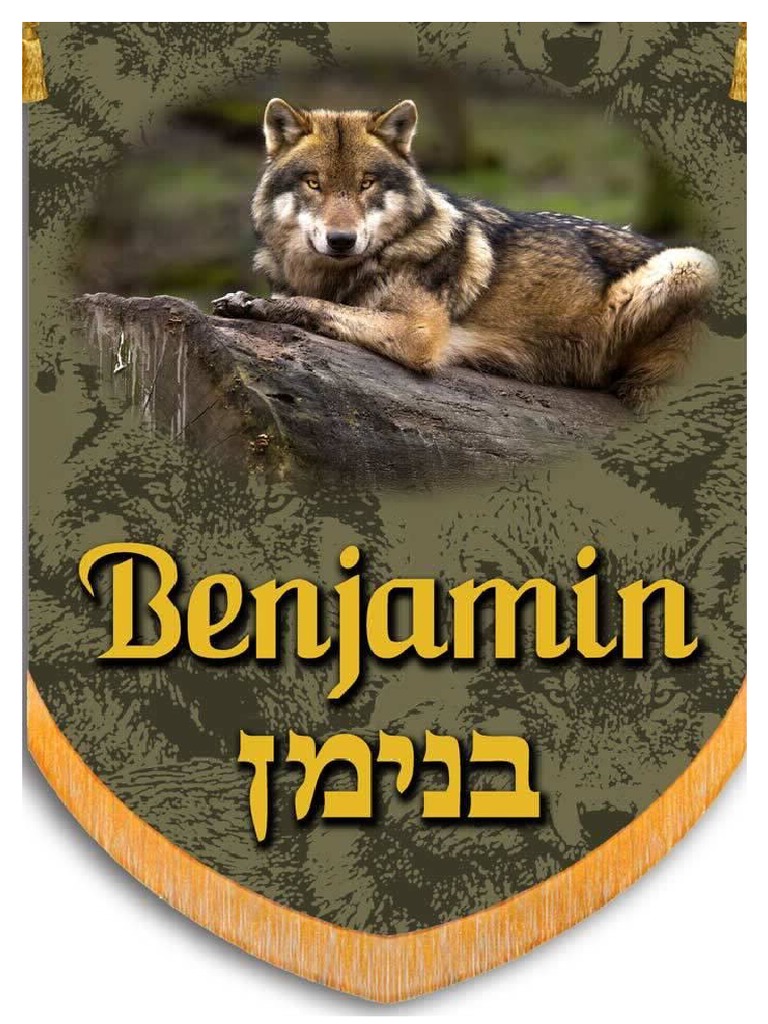 Estandarte Tribo Benjamim-Doc47 | PDF