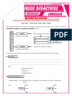 La Morfología para Segundo de Secundaria