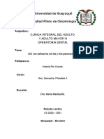 SDI Con Adhesivos de 4ta y 8va Generación - PIN OVIEDO VALERIA