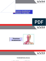 Terminologias Neuro