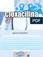 Presentación de Cloxacilina