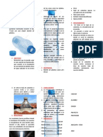 Mi Proyecto de La Feria de Ciencia Trifoliado