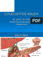 Colecistitis aguda: causas, diagnóstico y tratamiento