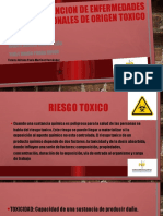 Prevencion de Enfermedades Profesionales de Origen Toxico