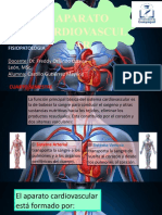 Sis. Cardiovascular