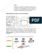 Patologuia Seminario