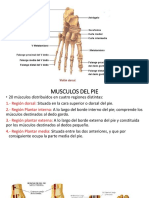 Anatomadelpie1 141119122131 Conversion Gate01