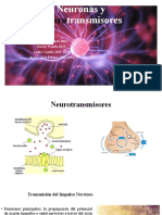 Neuronas y Neurotransmisores