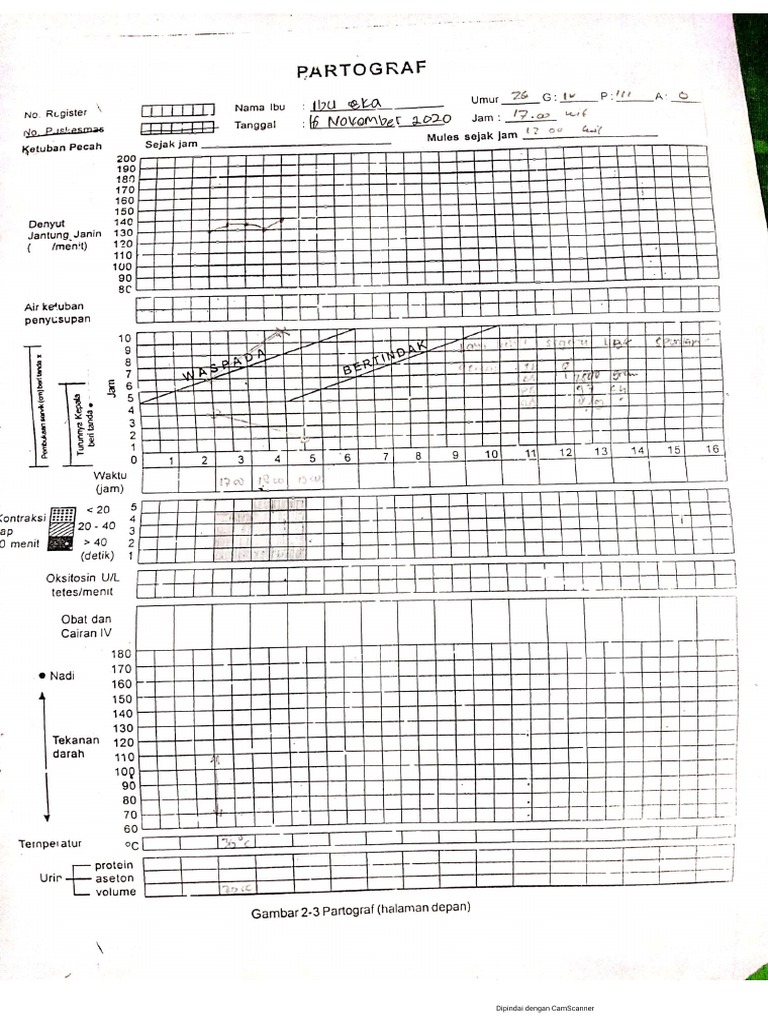 Patograf | PDF