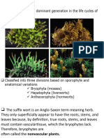 Gametophyte Is The Dominant Generation in The Life Cycles of Bryophytes