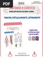 serie-anatomicc81a-y-ejercicio