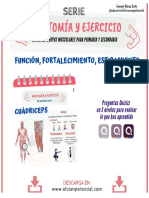 Serie Anatomicc81a y Ejercicio