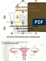 Sistem Reproduksi Pria Dan Wanita