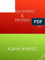 6-Asam Amino