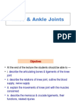 Knee Ankle Joints