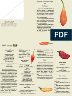 Processamento Artesanal de Pimentas