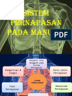 Sistem Pernapasan Pada Manusia Kelas 8 Ipa