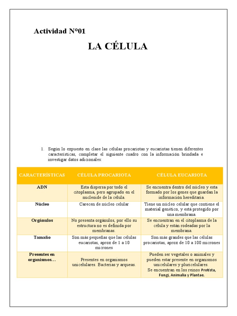 Comparativa de Células Procariotas y Eucariotas | PDF | Citoplasma ...
