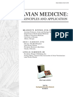 Avian Medicine:: Principles and Application