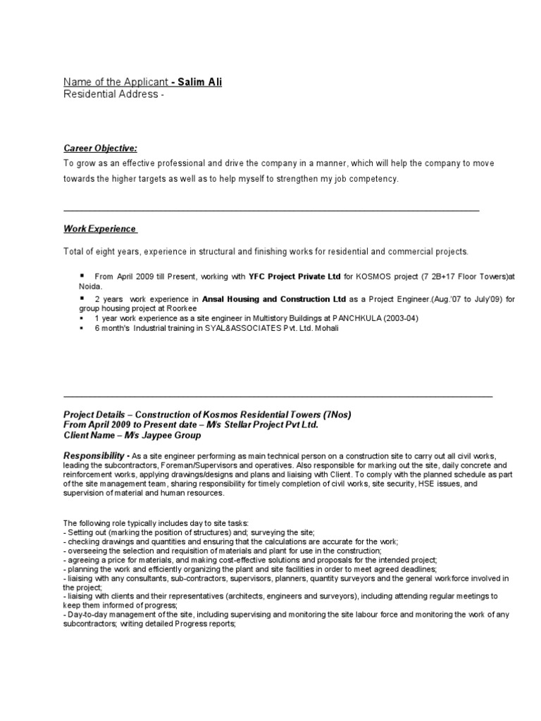 Salim Ali's Professional Profile | PDF | Engineering | Business